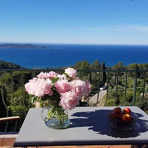 Simone Appartement